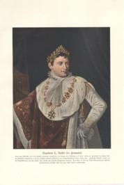 Napoleon I King Of France